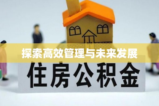 广东探索高效管理与未来发展