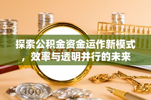 广东探索公积金资金运作新模式，效率与透明并行的未来