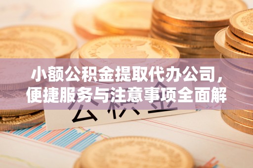 广东小额公积金提取代办公司，便捷服务与注意事项全面解析