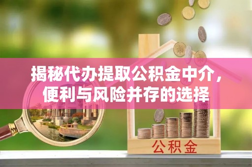 广东揭秘代办提取公积金中介，便利与风险并存的选择