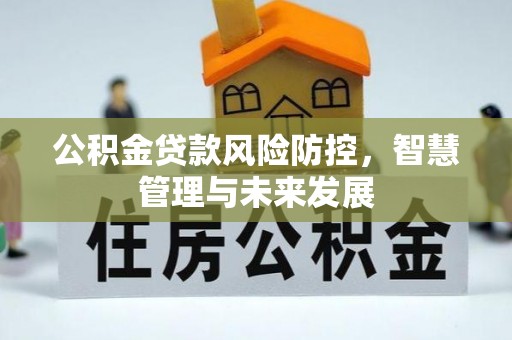 广东公积金贷款风险防控，智慧管理与未来发展