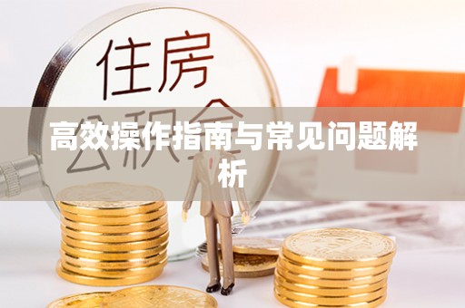 广东高效操作指南与常见问题解析