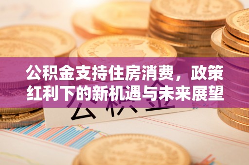 广东公积金支持住房消费，政策红利下的新机遇与未来展望