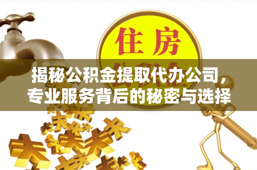 广东揭秘公积金提取代办公司，专业服务背后的秘密与选择指南
