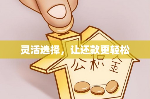 广东灵活选择，让还款更轻松