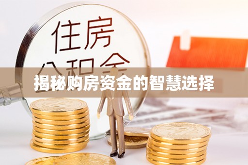广东揭秘购房资金的智慧选择