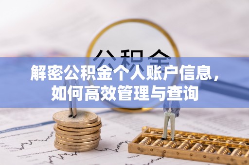 广东解密公积金个人账户信息，如何高效管理与查询