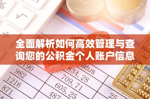 广东全面解析如何高效管理与查询您的公积金个人账户信息