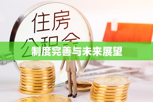 广东制度完善与未来展望