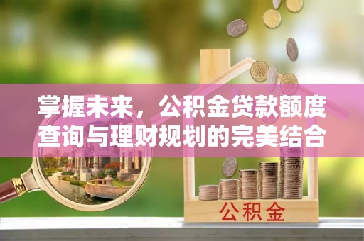 广东掌握未来，公积金贷款额度查询与理财规划的完美结合