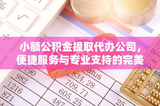 广东小额公积金提取代办公司，便捷服务与专业支持的完美结合