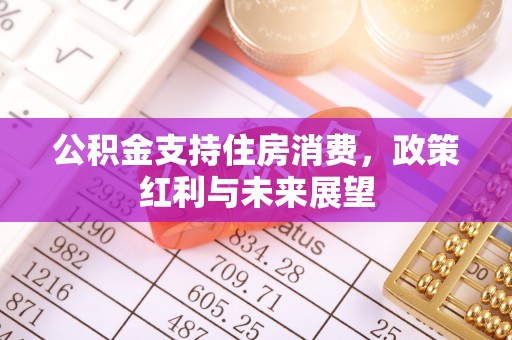 广东公积金支持住房消费，政策红利与未来展望