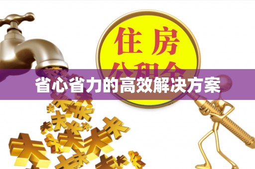 广东省心省力的高效解决方案