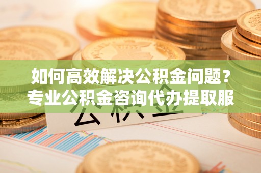 广东如何高效解决公积金问题？专业公积金咨询代办提取服务来帮你