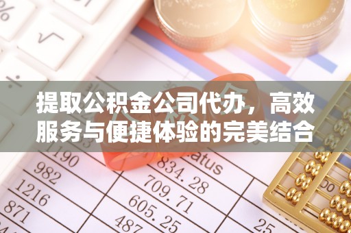广东提取公积金公司代办，高效服务与便捷体验的完美结合