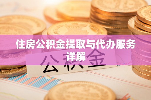 广东住房公积金提取与代办服务详解