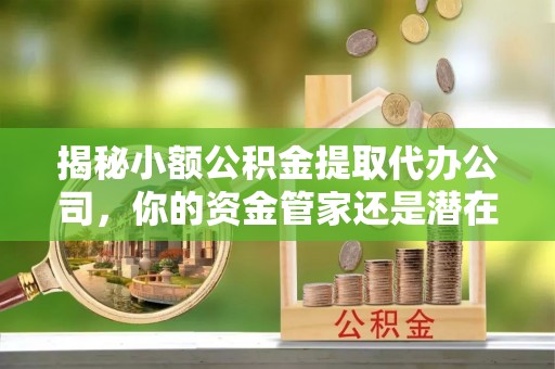 广东揭秘小额公积金提取代办公司，你的资金管家还是潜在风险？