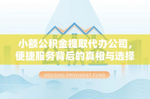 广东小额公积金提取代办公司，便捷服务背后的真相与选择