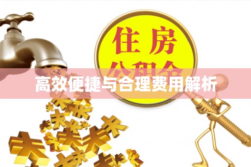 广东高效便捷与合理费用解析