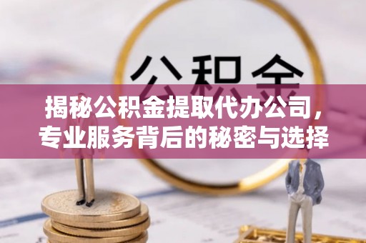 广东揭秘公积金提取代办公司，专业服务背后的秘密与选择指南