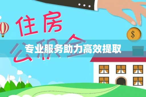 广东专业服务助力高效提取