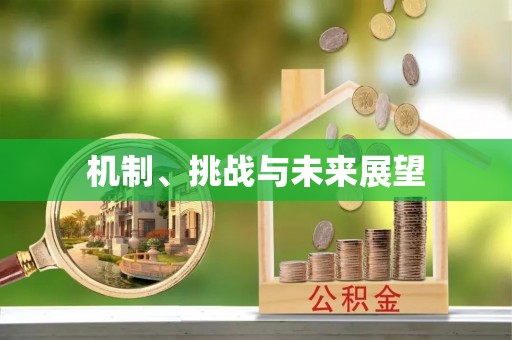 广东机制、挑战与未来展望