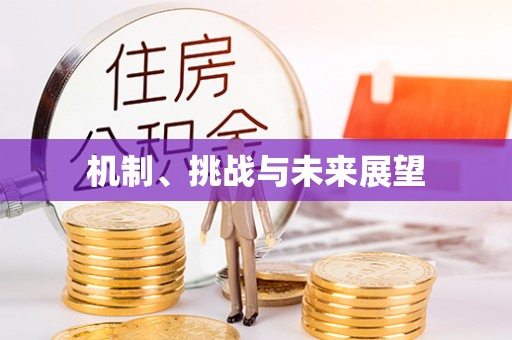 广东机制、挑战与未来展望
