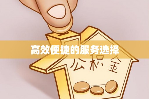 广东高效便捷的服务选择